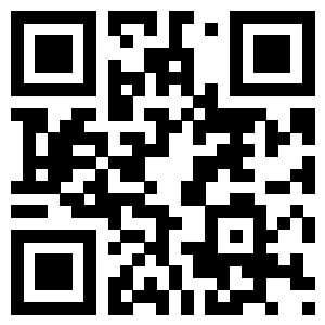 the qr code